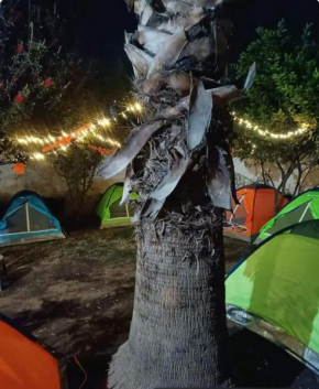 casas de campaña para Dia de Muertos